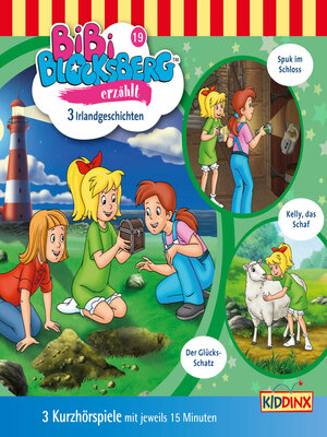 cover image of Irlandgeschichten